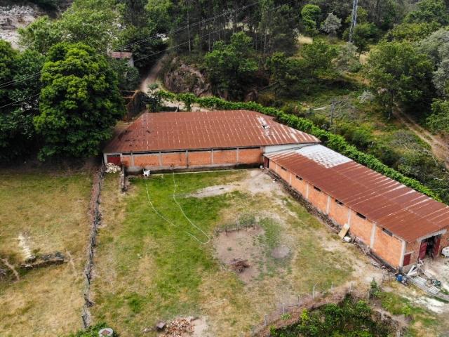 Terreno venda em Boco, Santa Maria Da Feira
