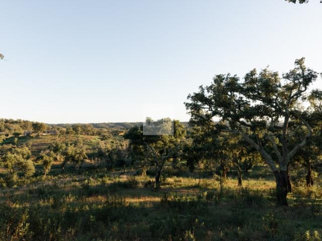 Terreno venda em Valinho, Santiago Do Cacém
