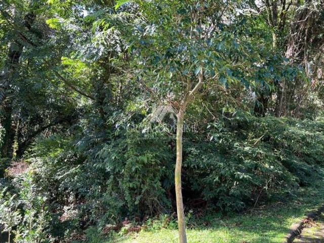 Terreno venda em Região Geográfica Imediata de Caxias do Sul, Canela