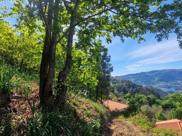 Terreno venda em Boco, Santa Maria Da Feira