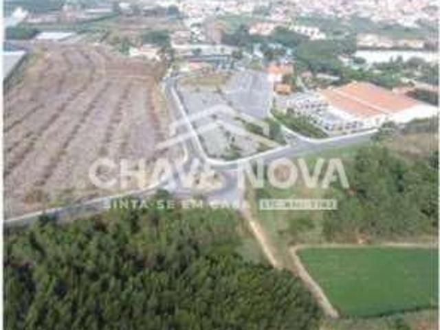 Terreno venda em Abrantes, Santarém