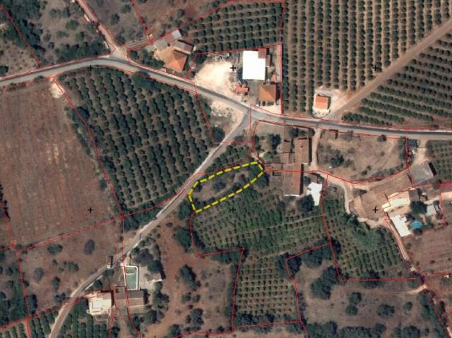 Terreno venda em São Bartolomeu De Messines, Faro