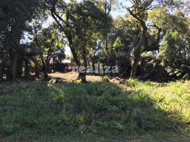 Terreno venda em Região Geográfica Imediata de Caxias do Sul, Canela