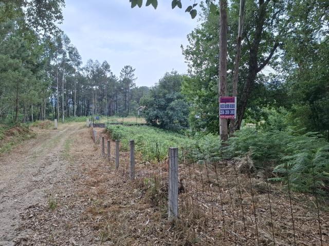 Terreno venda em Vale De Cambra, Aveiro