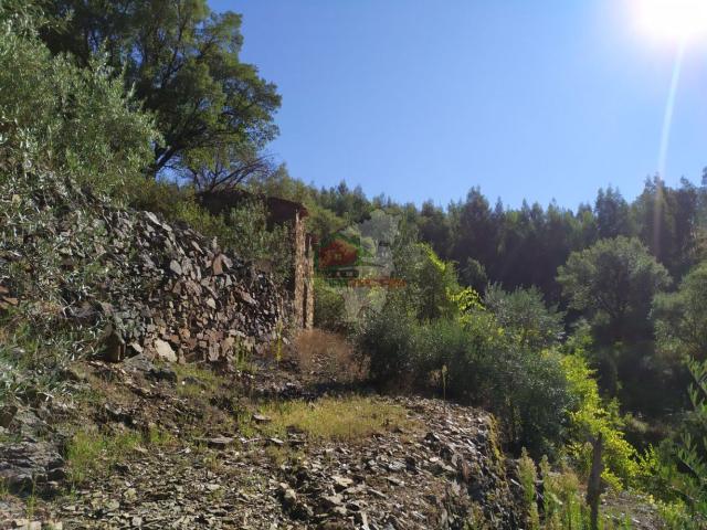 Terreno venda em Castelo Branco, Oleiros