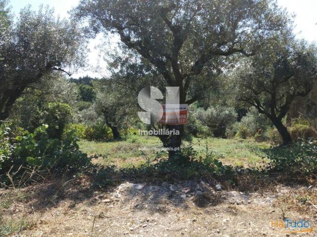 Terreno venda em Vila Nova De Poiares, Coimbra