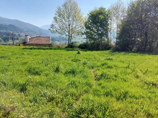 Terreno venda em Terrafeita, Parada Do Bouro