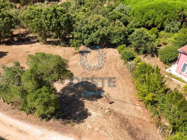 Terreno venda em Rossio do Carvalhal, Bombarral