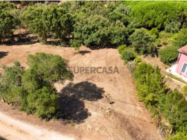 Terreno venda em Bombarral, Rossio do Carvalhal Terreno venda em Bombarral, Rossio do Carvalhal