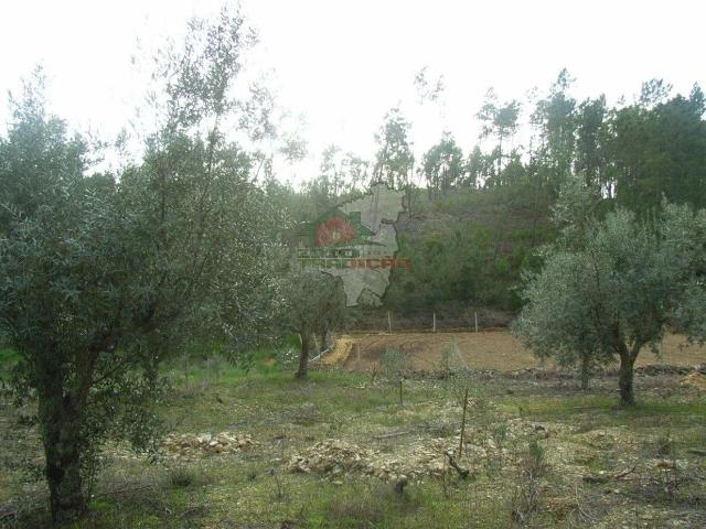Terreno venda em Castelo Branco, Cumeada