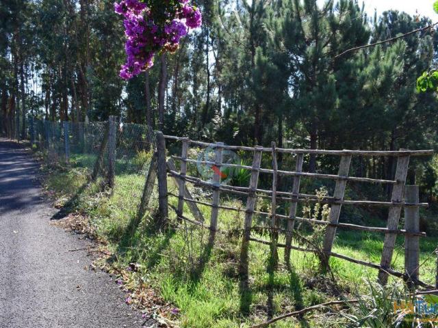 Terreno venda em Santa Maria Da Feira, Aveiro