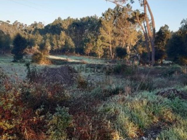 Terreno venda em Oliveira Do Bairro, Aveiro