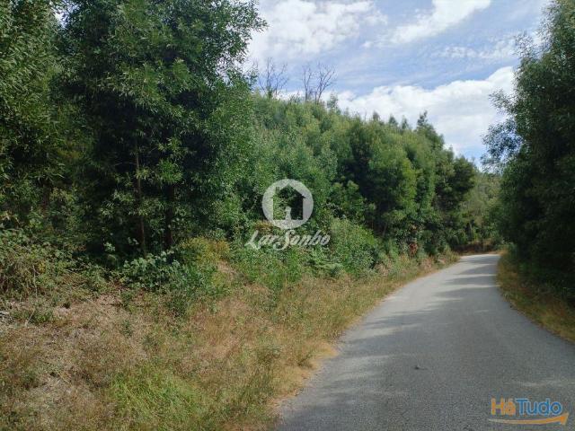 Terreno venda em Celorico De Basto, Braga