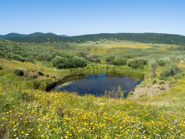 Terreno en venta en Cabañas Del Castillo, Extremadura
