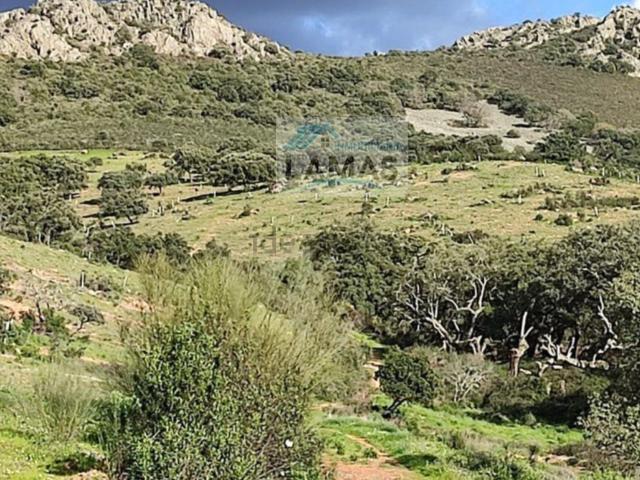 Terreno en venta en Cabañas del Castillo, Cáceres