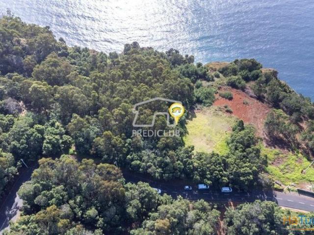 Terreno venda em Câmara De Lobos, Ilha Da Madeira