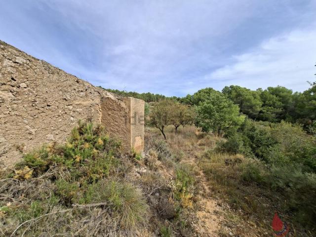 Terreno en venta en Cabra del Camp, Tarragona
