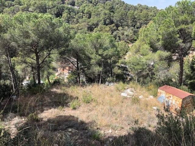 Terreno en venta en Castell de Cabrera, Anoia