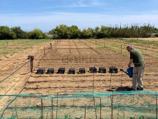 Terreno en alquiler en Cabrera De Mar, Barcelona