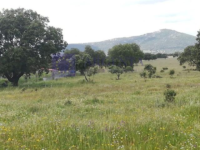 Terreno en venta en Cáceres, Extremadura