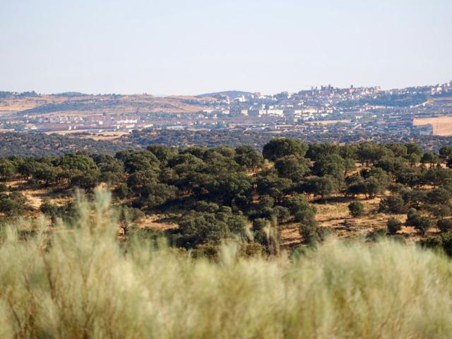 Terreno en venta en Cáceres, Extremadura