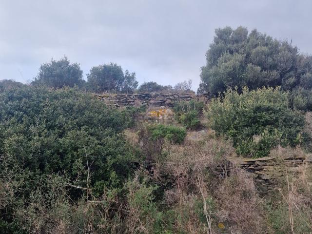 Terreno en venta en Alt Empordà, Catalunya