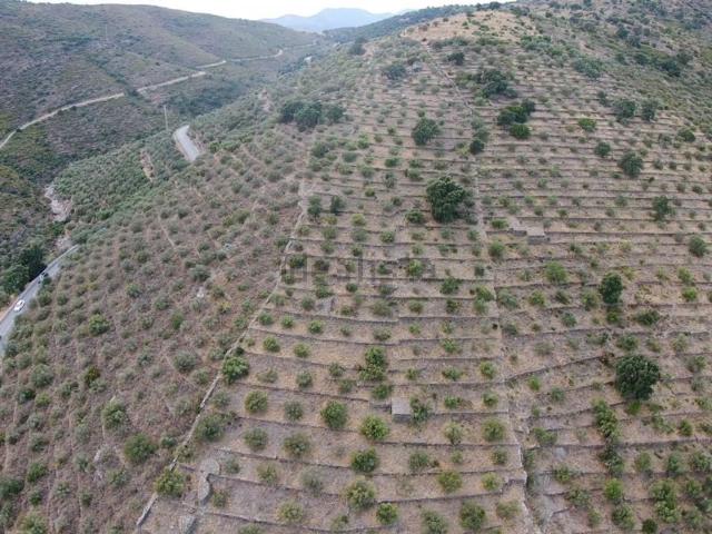 Terreno en venta en Alt Empordà, Catalunya