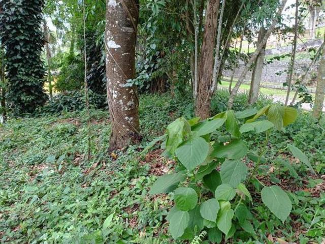 Terreno venda em Região Imediata de Sorocaba, Região Metropolitana de Sorocaba