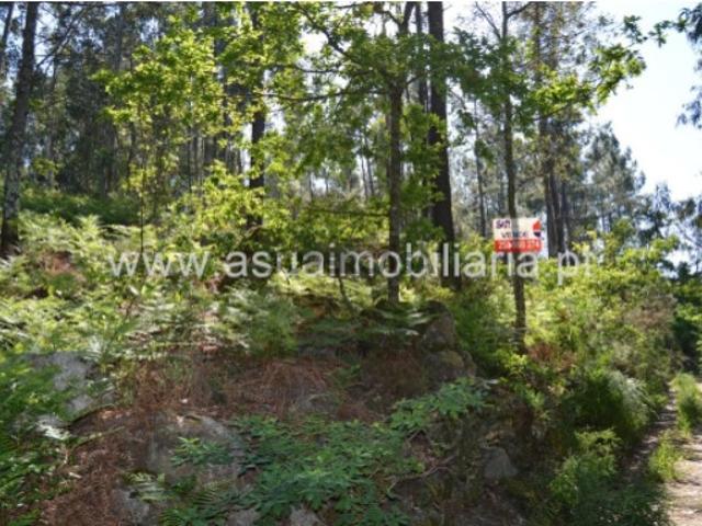 Terreno venda em Amares, Braga