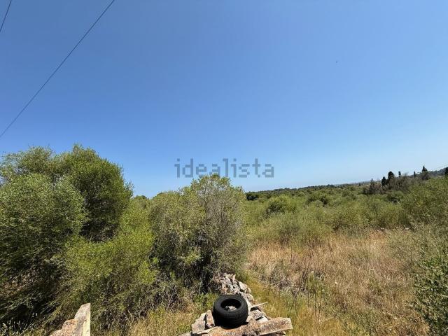 Terreno en venta en Cala Millor, Llevant