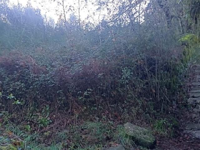 Terreno venda em Amares, Braga