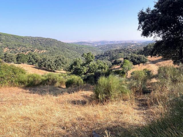 Terreno en venta en Calera De León, Extremadura