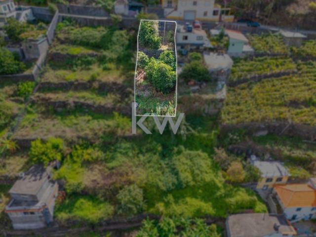 Terreno venda em Ilha Da Madeira