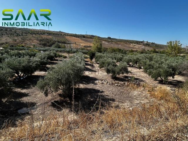 Terreno en venta en Comarca de la Vega de Granada, Andalucía
