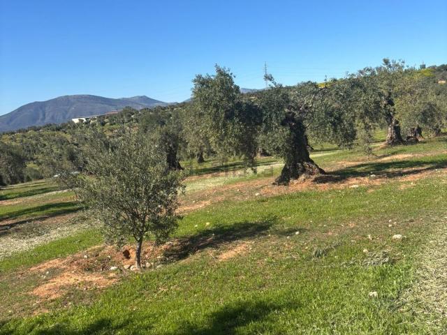 Terreno en venta en Comarca de la Vega de Granada, Andalucía