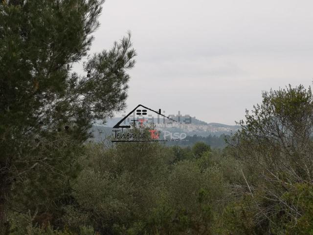 Terreno en venta en el Baix Maestrat, Valencia
