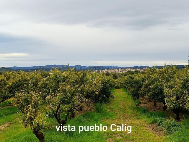 Terreno en venta en el Baix Maestrat, Valencia