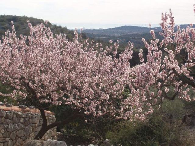 Terreno en venta en el Baix Maestrat, Valencia
