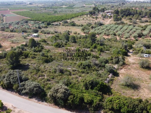 Terreno en venta en el Baix Maestrat, Valencia