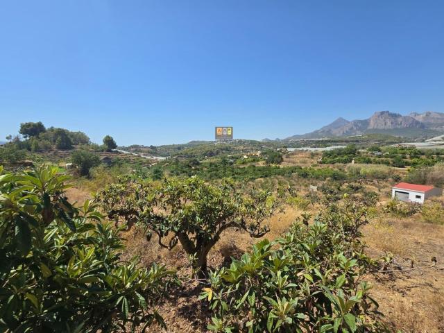 Terreno en venta en la Marina Baixa, Valencia