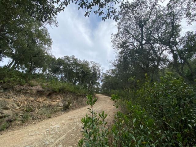 Terreno en venta en Baix Empordà, Catalunya