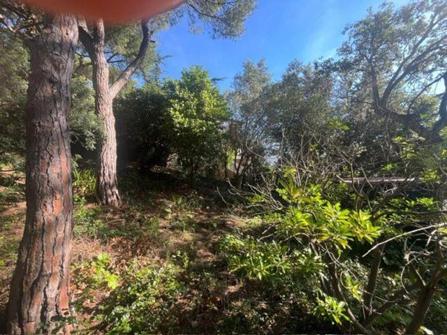 Terreno en venta en Calonge i Sant Antoni, Baix Empordà