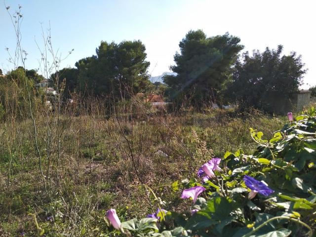 Terreno en venta en Urbanització Les Cometes, la Marina Alta