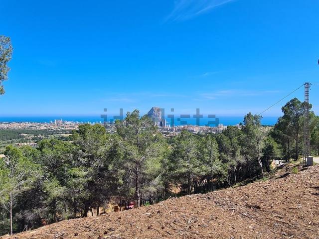 Terreno en venta en San Bernardo, la Marina Alta