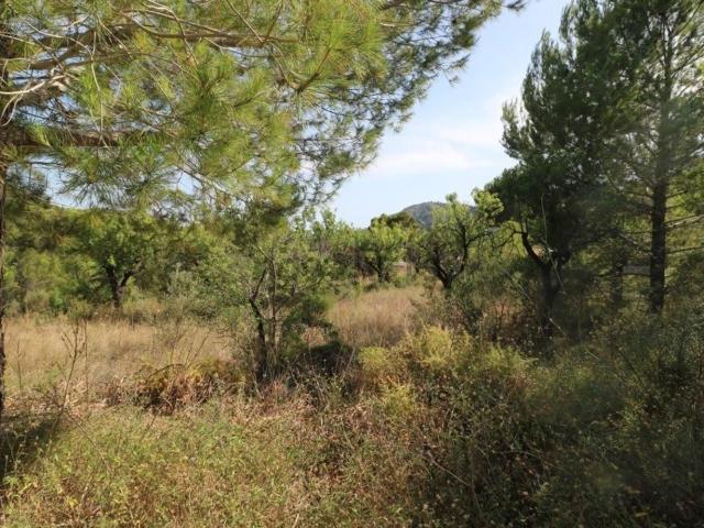 Terreno en venta en Calvià, Serra de Tramuntana