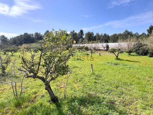 Terreno en venta en Calvià, Serra de Tramuntana