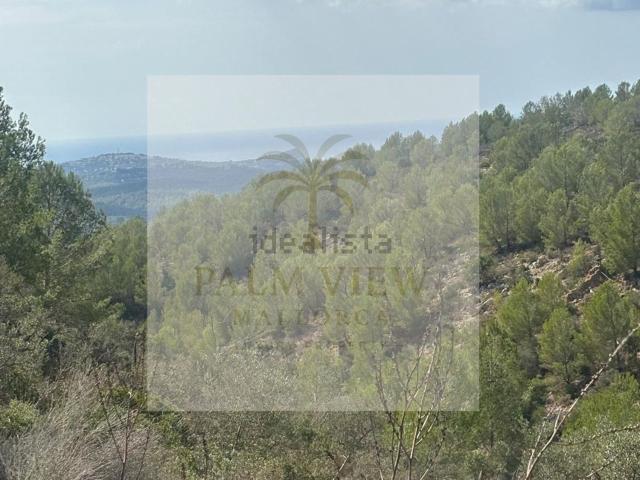 Terreno en venta en Calvià, Serra de Tramuntana