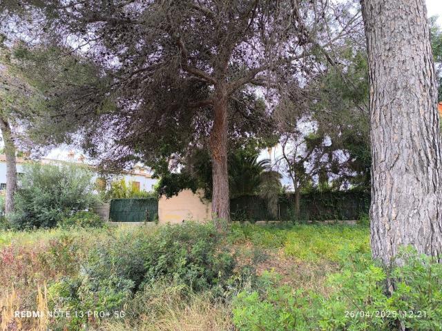 Terreno en venta en Calvià, Serra de Tramuntana