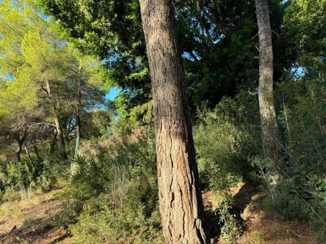 Terreno en venta en Calvià, Serra de Tramuntana