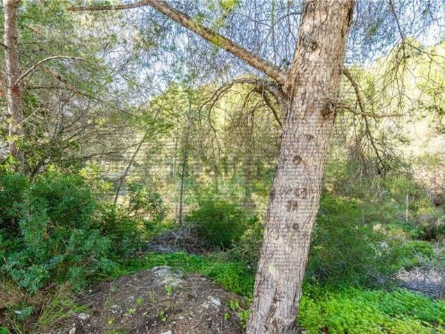 Terreno en venta en Calvià, Serra de Tramuntana